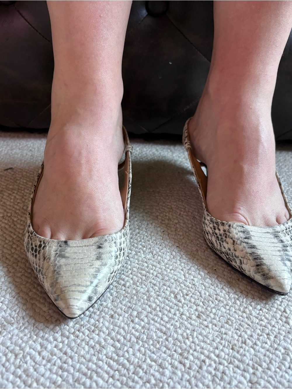 Calvin Klein Beige Snake-Print Pointed Slingback Heels